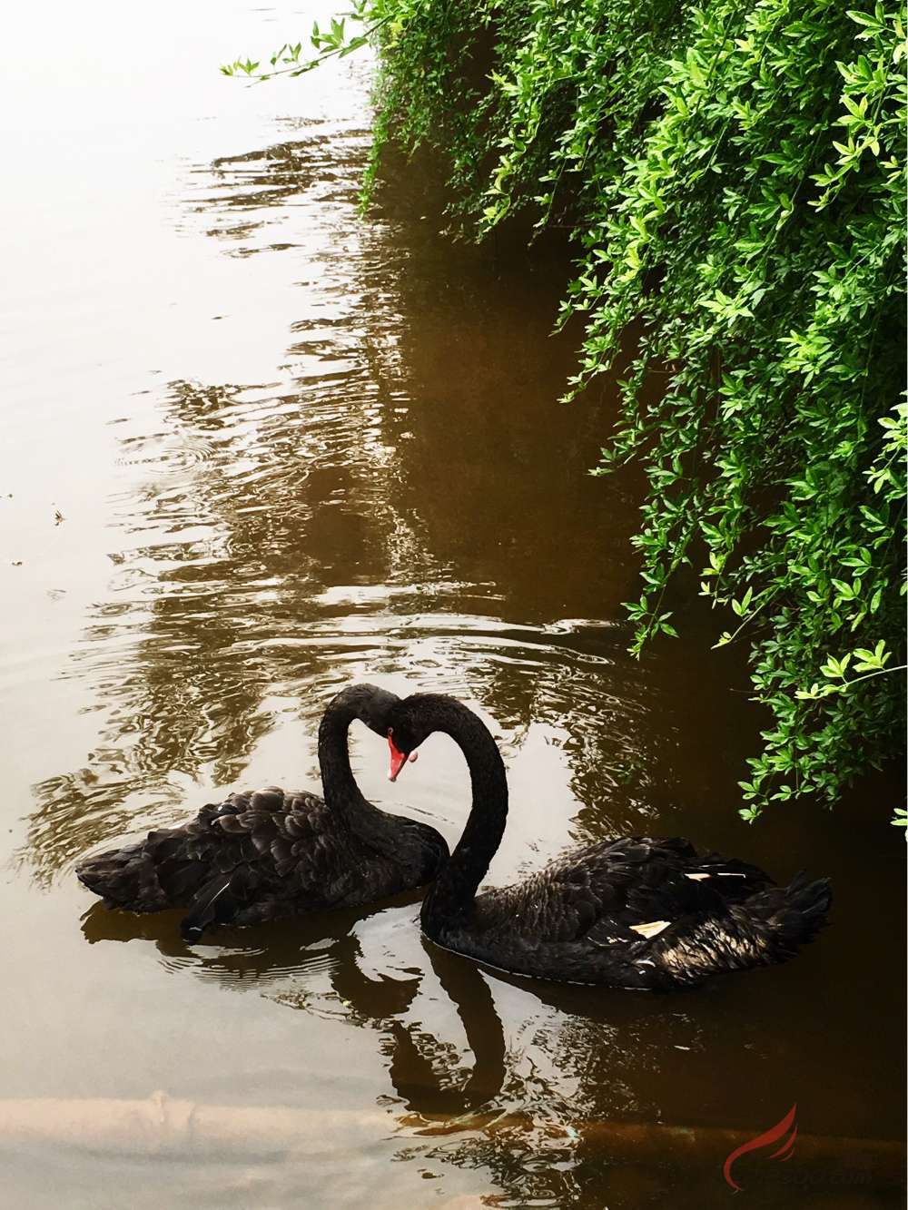 �������������Z�������ߡ�