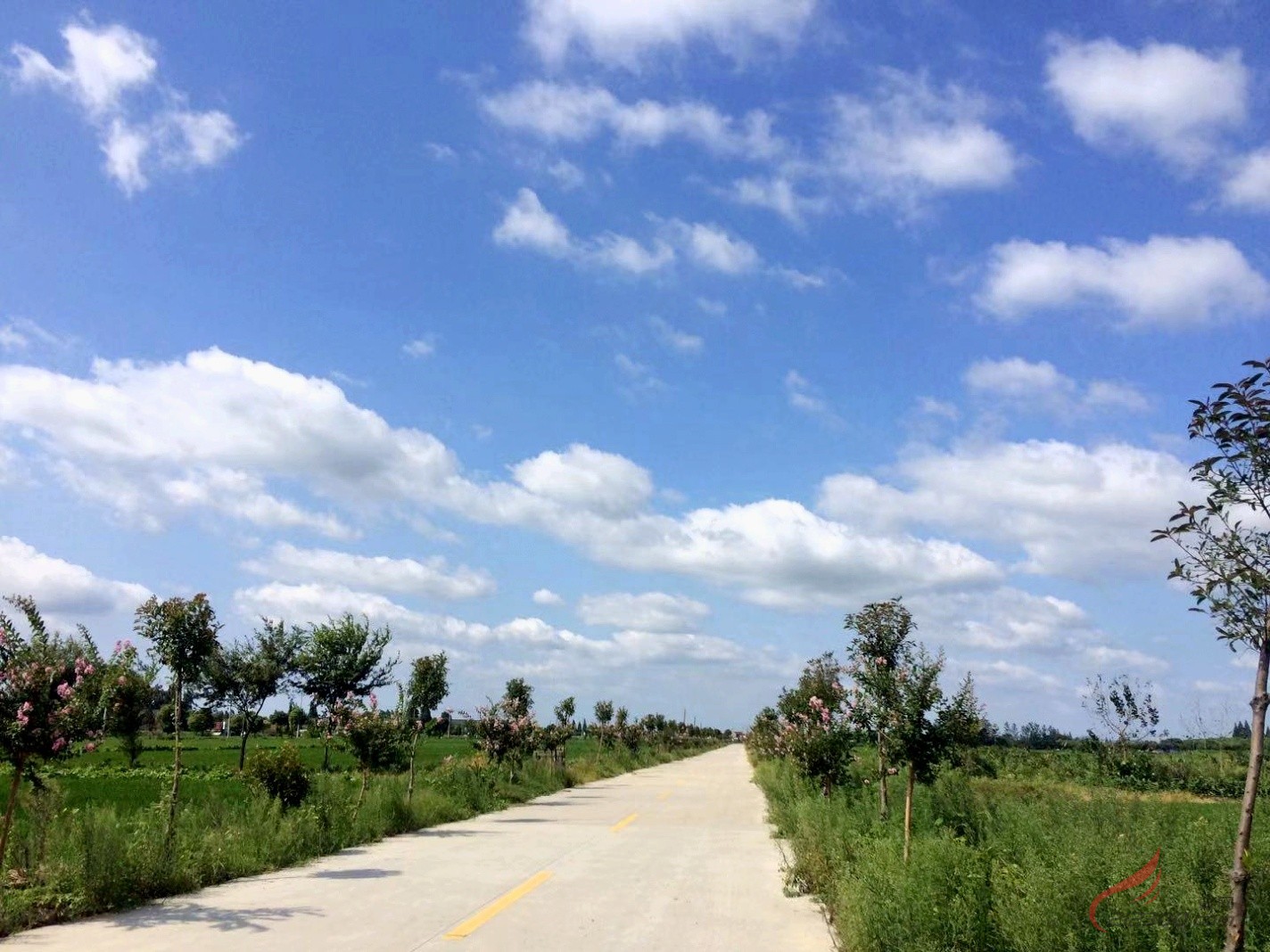 �S�������ա���Ұ�ϵ��{(l��n)�������