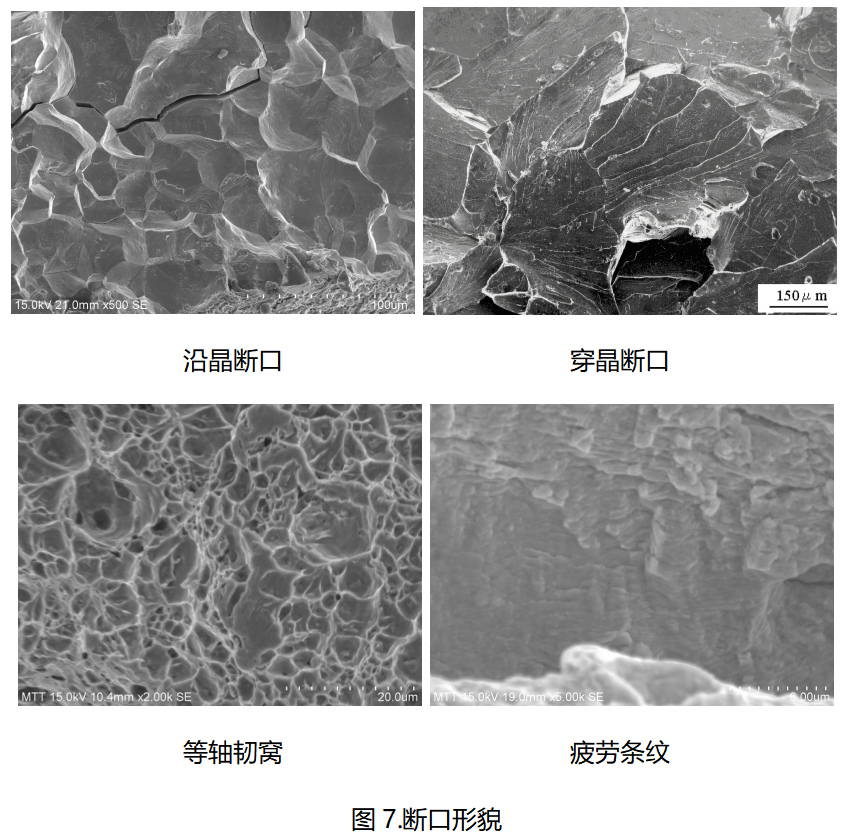 美信檢測斷口形貌對比分析：沿晶斷口、穿晶斷口、韌窩與疲勞條紋SEM顯微圖